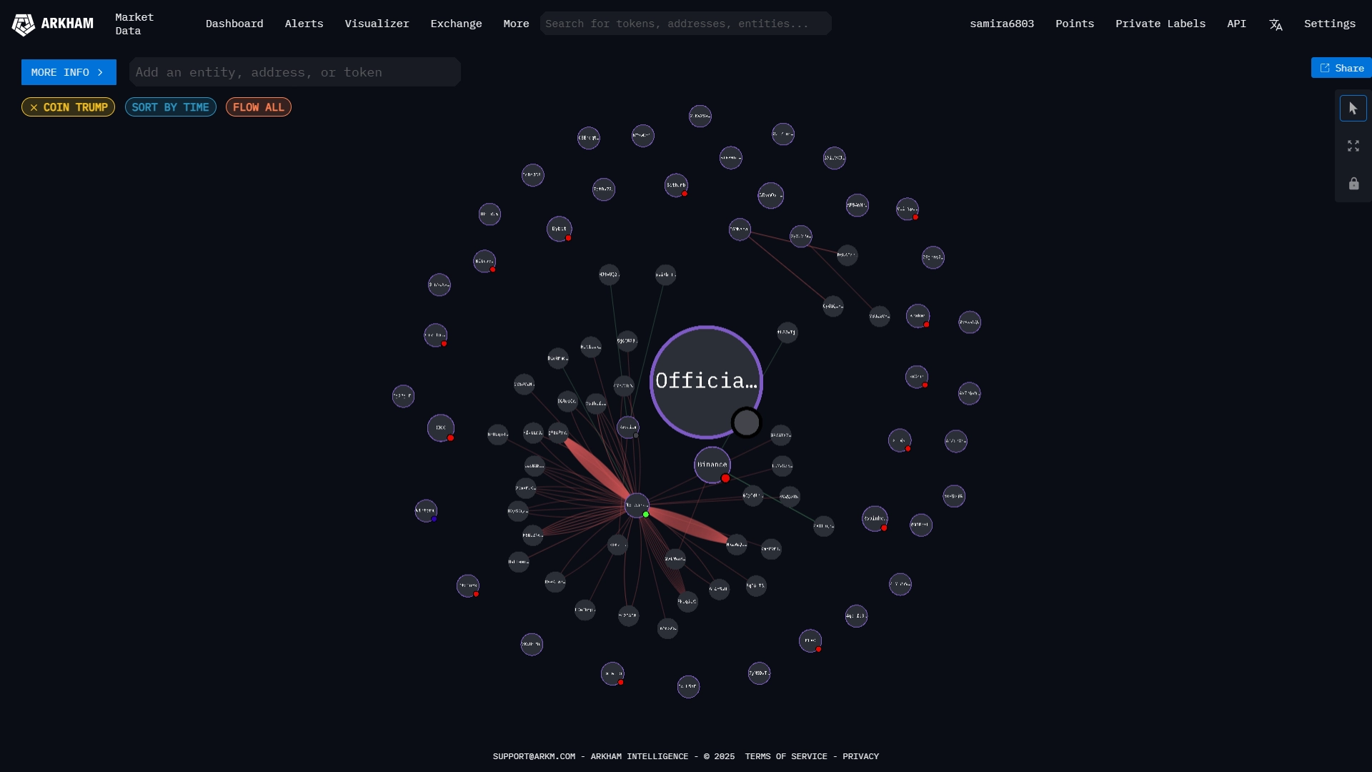 ابزار بصری‌سازی (Visualizer) و تحلیل شبکه‌ای تراکنش‌ها